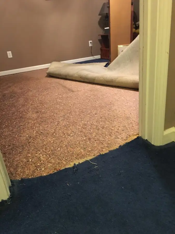 Carpet pad removal revealing water damage during Drying & Dehumidification in Wilton