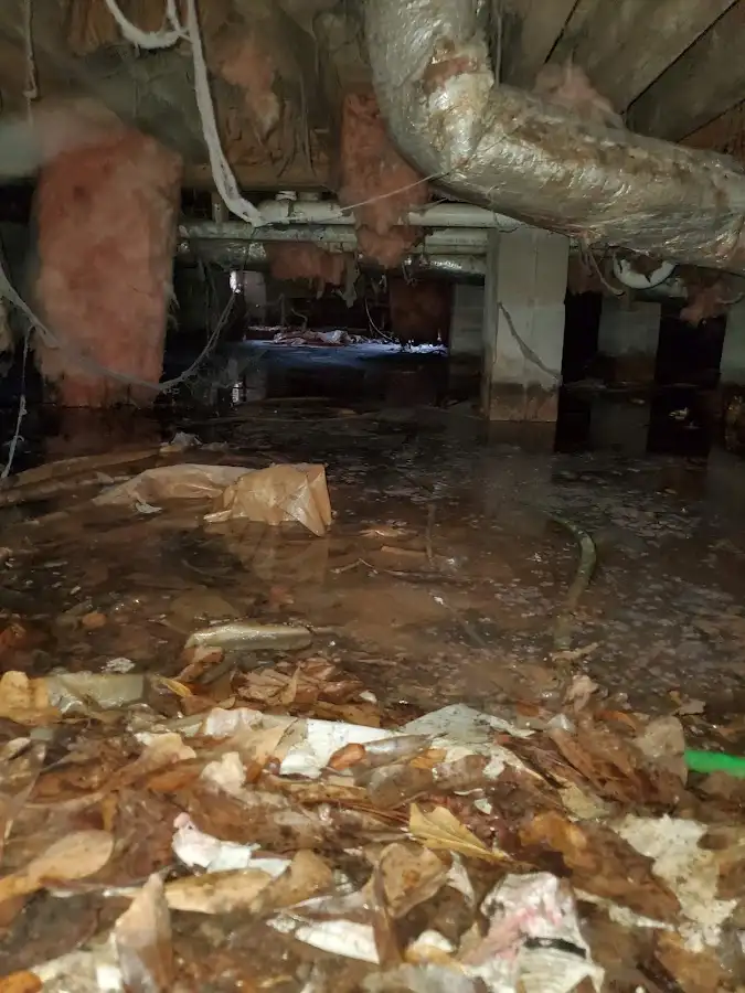 Crawl space flood assessment for Leak Detection & Repair in Wilton